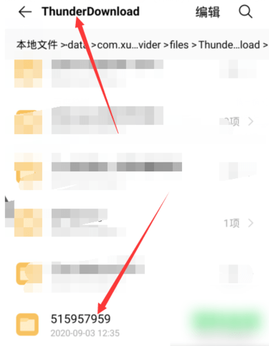 手机迅雷破解SVIP年费版使用方法5