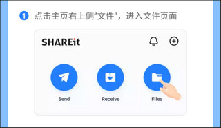 管理系统文件截图1