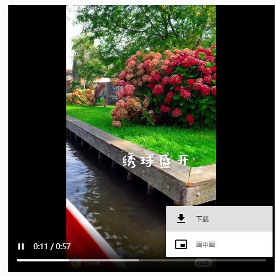 保存视频截图4