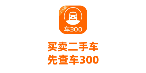 车300二手车app版本大全