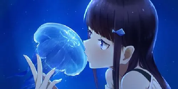 水母动漫2024新版