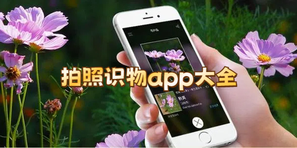拍照识物app大全