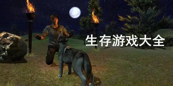 生存游戏合集