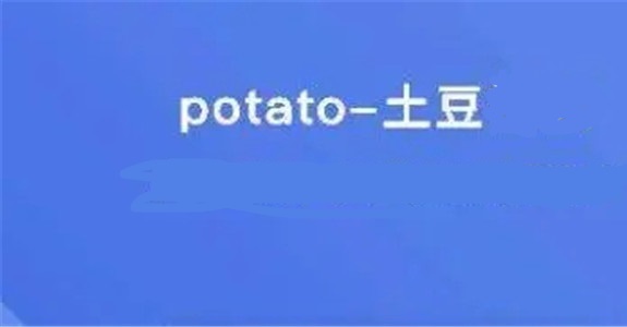 potato土豆官网版