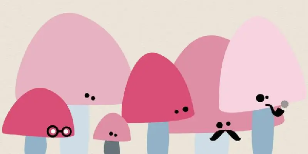 蘑菇动漫app