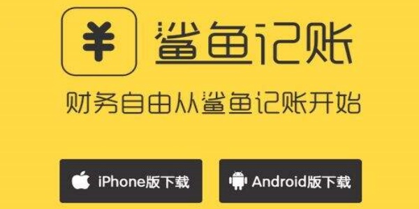鲨鱼记账