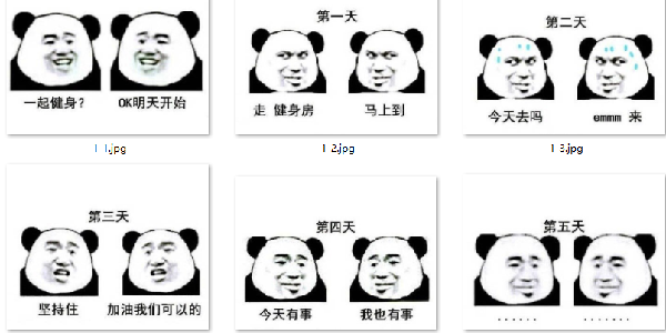 熊猫表情包app