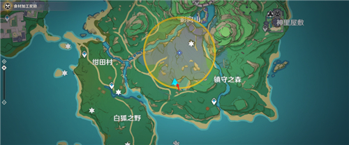 原神镇守之森解密流程