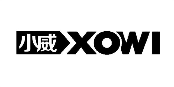 小威国体ESP
