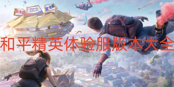 和平精英体验服版本合集
