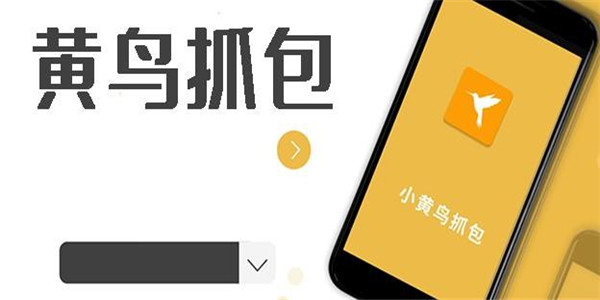 小黄鸟抓包软件下载
