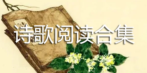 诗歌阅读合集