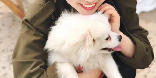 声洞app