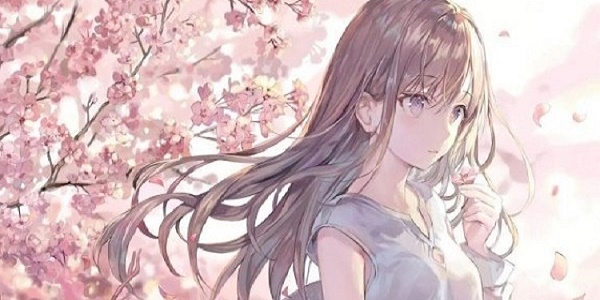 jmcomic网页版