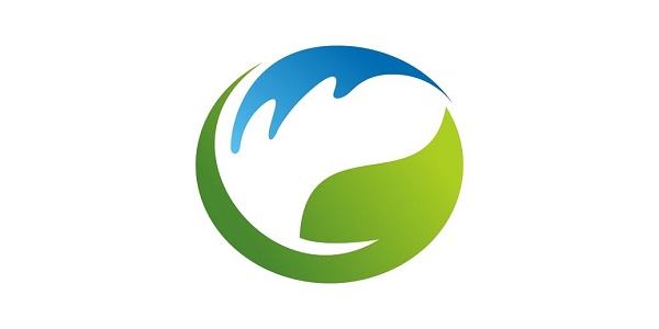 能打开各种网站的浏览器