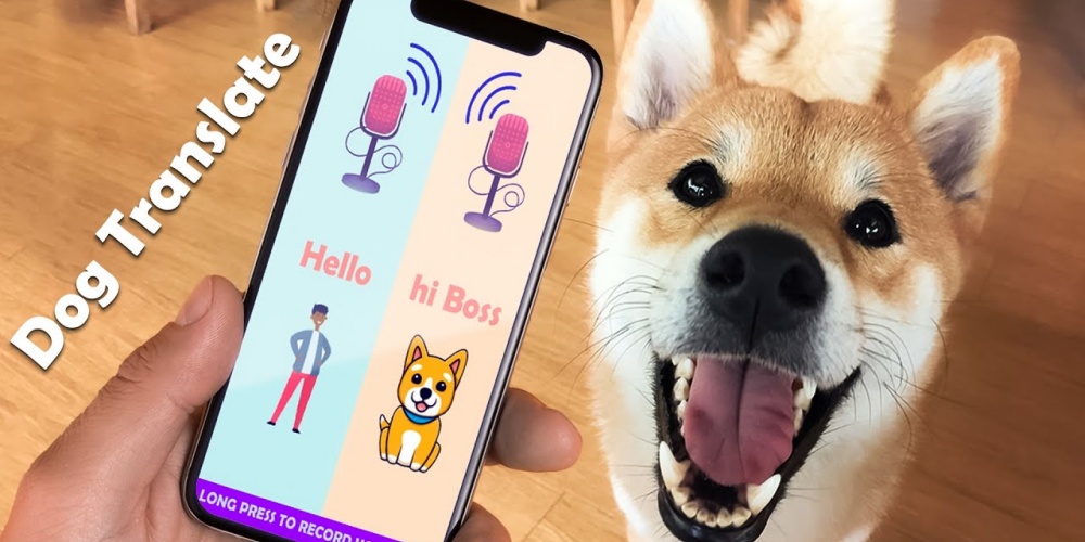 狗语翻译器app推荐