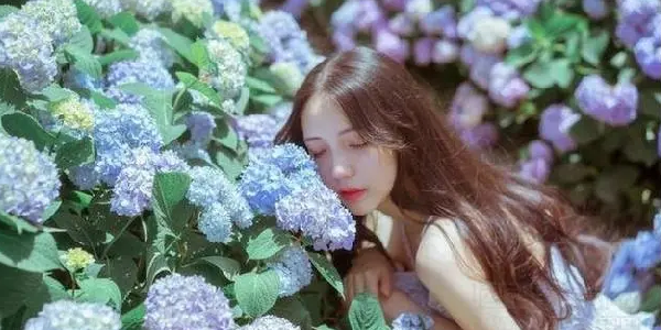 千千小说app