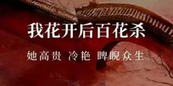 淘小说app