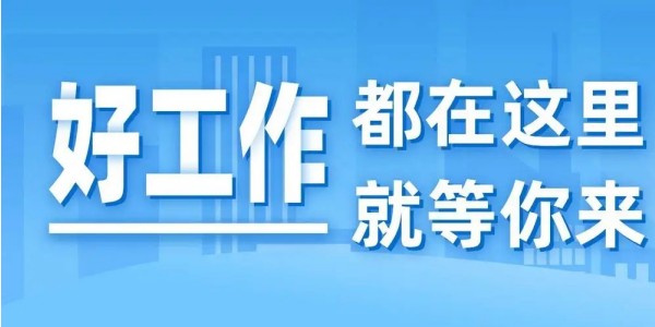找工作最正规的平台