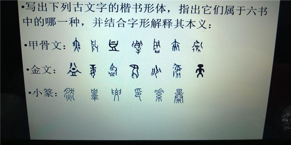 扫一扫作业出答案免费版app