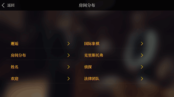 怎么玩9