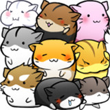 小仓鼠的生活
