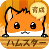 仓鼠故事