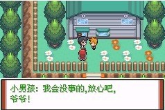 口袋妖怪特别篇赤游戏(口袋妖怪特别篇赤15+拓展)