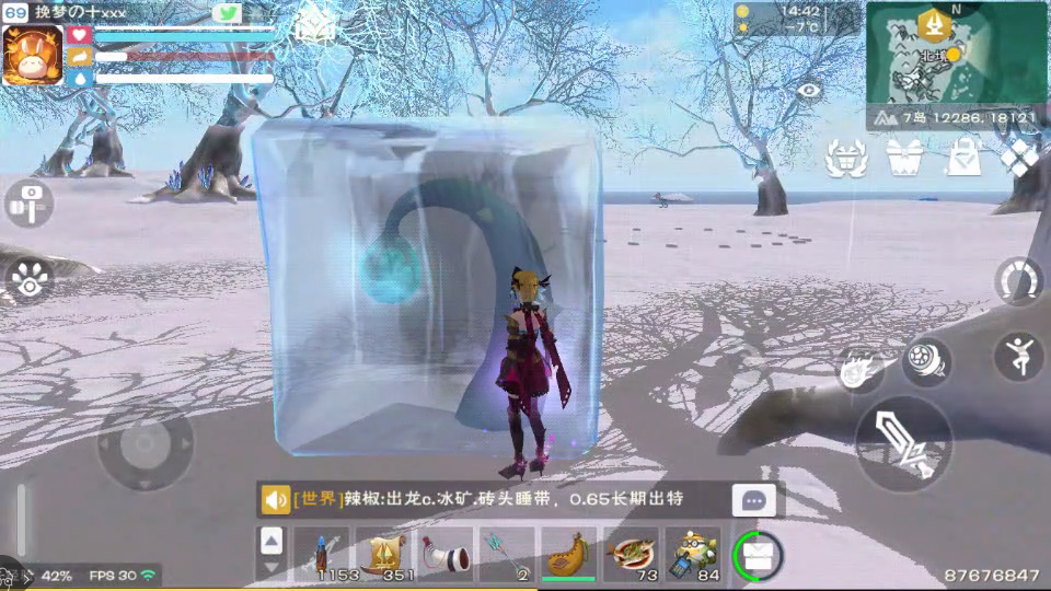 创造与魔法联机版
