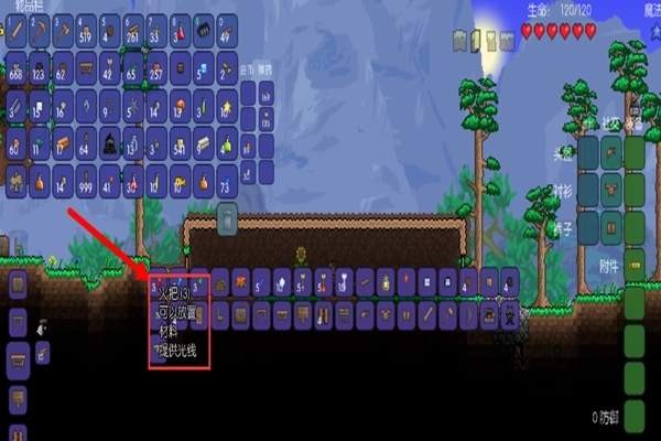 泰拉瑞亚1.4.4.9版