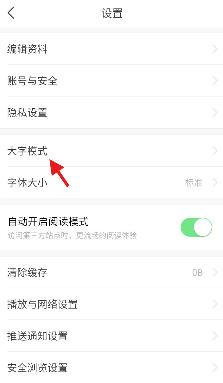 怎么打开大字模式截图3