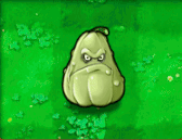 植物强度排名12