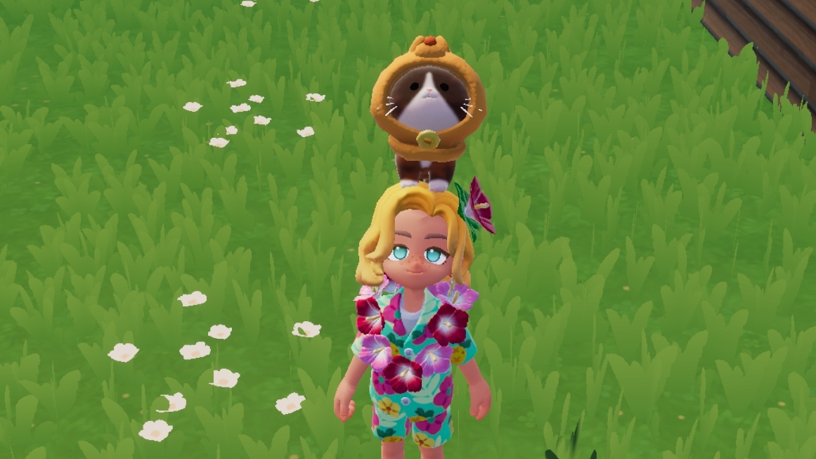 新手必备攻略截图5