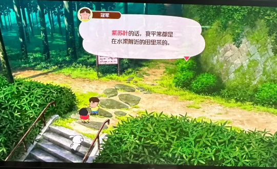 小白问题攻略大全截图1