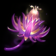 奇茸通天菊截图