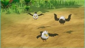 颓颓鹰捕捉技巧截图2