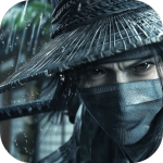 斗笠江湖九游版