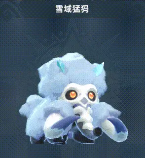 宠物搭配阵容攻略5