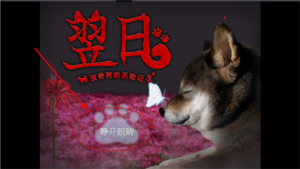 翌日波奇狗的历险记