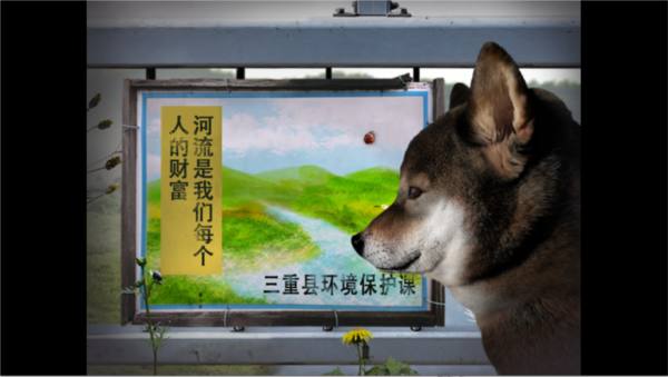 翌日波奇狗的历险记