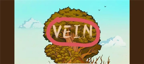 vein