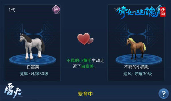 如何获得高品质马匹5