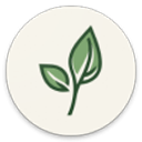 LeviLauncher启动器app官方版