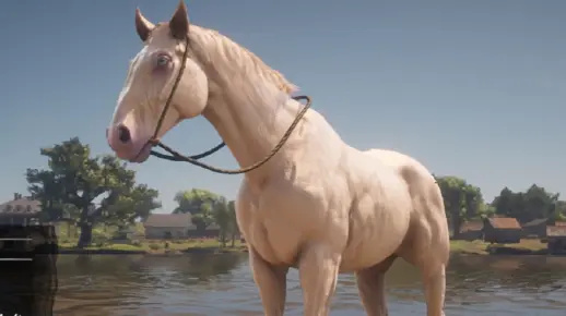 布埃尔（荷兰温血马）