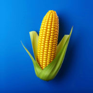 我的农场破解版