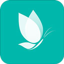 落初小说最新版